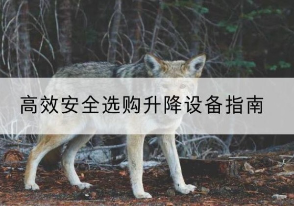 正定升降货梯厂家推荐-*安全选购升降设备指南