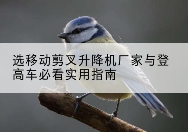 正定电动升降机厂家-选移动剪叉升降机厂家与登高车必看实用指南