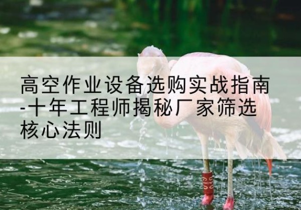 正定剪叉式升降机厂家-高空作业设备选购实战指南-十年工程师揭秘厂家筛选核心法则
