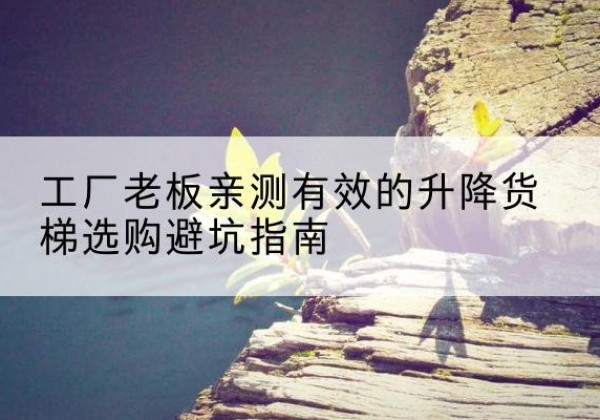 正定升降货梯怎么选-工厂老板亲测有效的升降货梯选购避坑指南